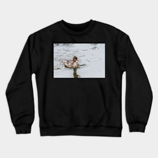 Merganser Resurfaces From Dive Crewneck Sweatshirt